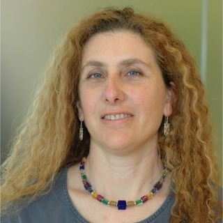 Julie Lerman